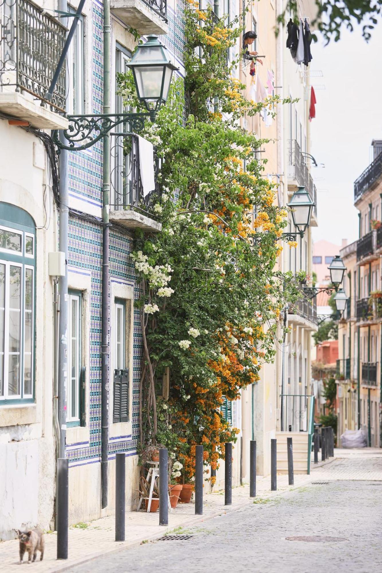 Bica Little House By Spoton Apartments リスボン 部屋 写真